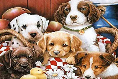 126.- CACHHORROS jigsaw puzzle
