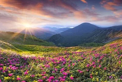 Flores Entre Montanhas jigsaw puzzle