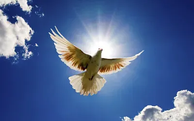 Representación del Espíritu Santo