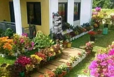 casa de campo-2 jigsaw puzzle