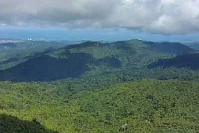 Yunque 1, 2015