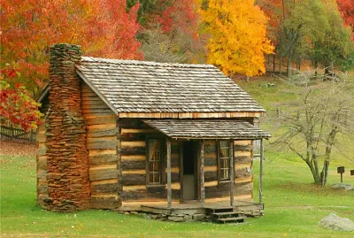 CABAÑA EN EL BOSQUE