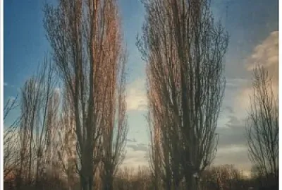 verona giarol grande