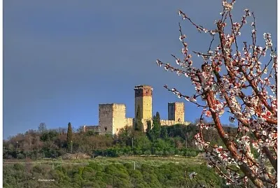 verona primavera a Montorio