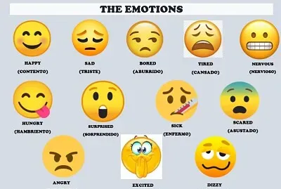 THE EMOTIONS