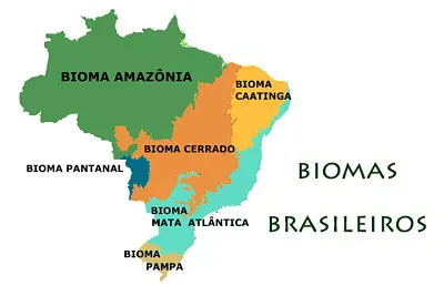 Biomas Brasileiros 2 jigsaw puzzle