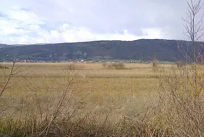 Erlach ile St-Pierre 2