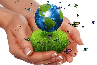 Ecología jigsaw puzzle