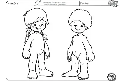 פאזל של cuerpos