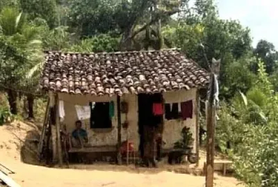 roça