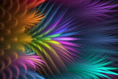abstract feather flower