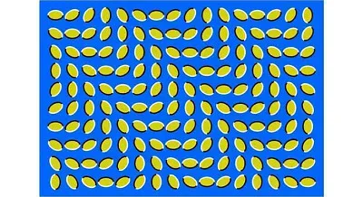 Perceptual Illusion 1