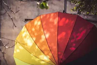 Umbrella