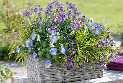 bouquet de fleurs