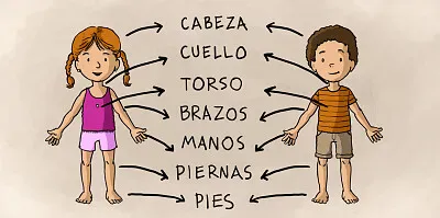 Cuerpo humano
