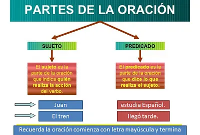 La oración y sus partes