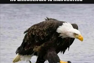 פאזל של UFFA ....E ' SEMPRE COSI '