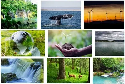 recursos naturales