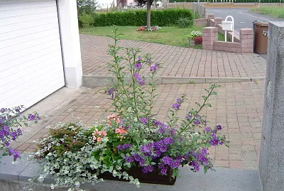 Blumen jigsaw puzzle