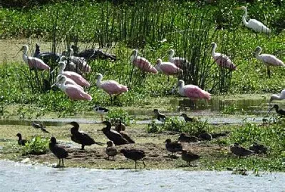 Cuenca del Arroyo Solis Grande