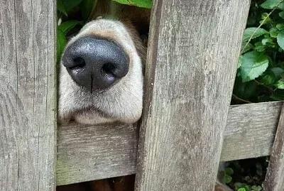 CENÁRIO K499 jigsaw puzzle