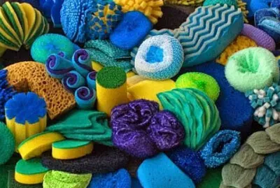 Coral Reef Cleaning jigsaw puzzle