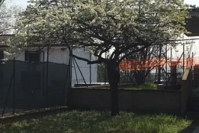 ALBERO SCUOLA