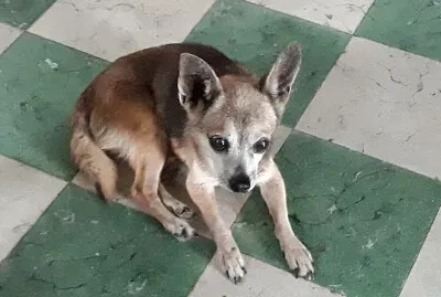 El tio Max en sus 15 años