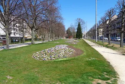 Neuchâtel 7 jigsaw puzzle