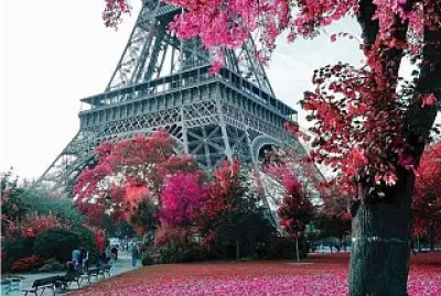 pink paris jigsaw puzzle