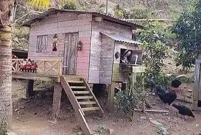 CASITA EN EL CAMPO jigsaw puzzle