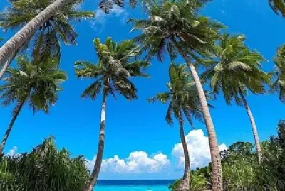 Coqueiros jigsaw puzzle