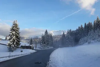 Winter Road jigsaw puzzle