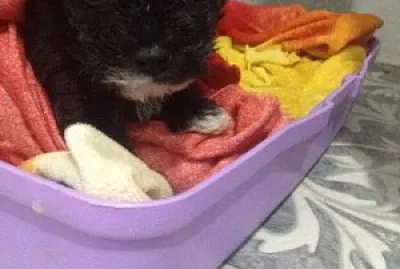 little can