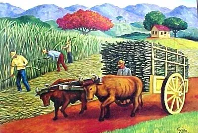 EL CAÑABERAL