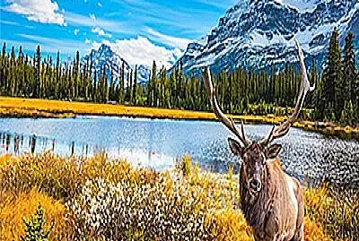 BELLO LUGAR DE CANADA