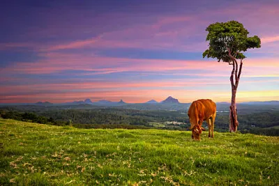 paisagem