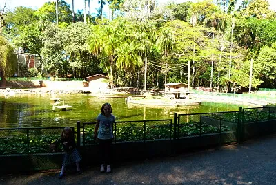 Campinas