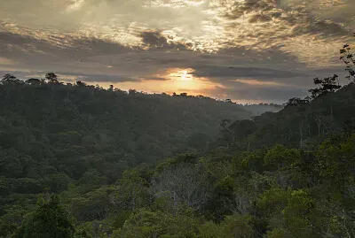 Brasil