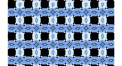 perceptual illusion 2