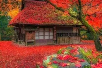 Parque Nara Japon jigsaw puzzle