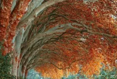 Tunel de aboles Alemania jigsaw puzzle