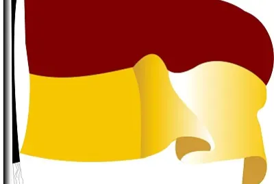 Bandera del Tolima 2