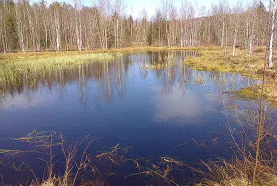 Les Ponts-de-Martel tourbières2