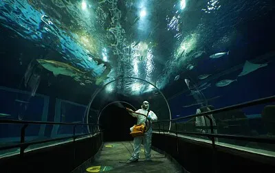 Rio de Janeiro - Brasil