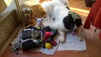 פאזל של vacances