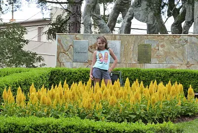 jardim colorido