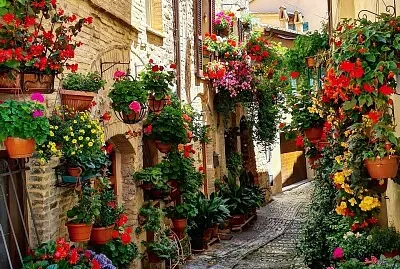 פאזל של imagem