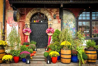 Varsovia-Polonia jigsaw puzzle