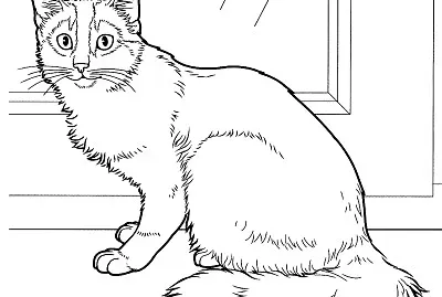 Gatinho